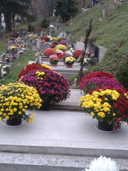 Tajovský cintorín